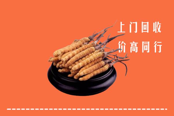 高价求购：綦江区回收散虫草