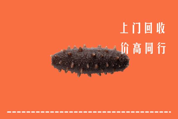綦江区回收海参